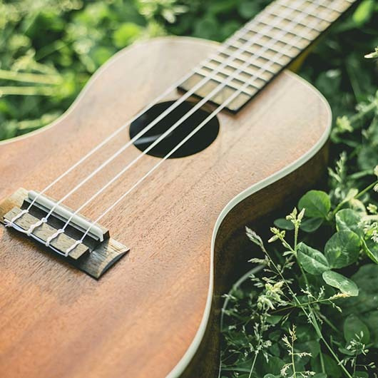 ウクレレ教室|ウクレレコース(個人レッスン)