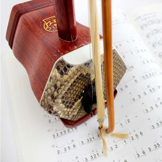 二胡教室|二胡コース(個人レッスン)