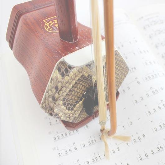 二胡教室|二胡コース(個人レッスン)